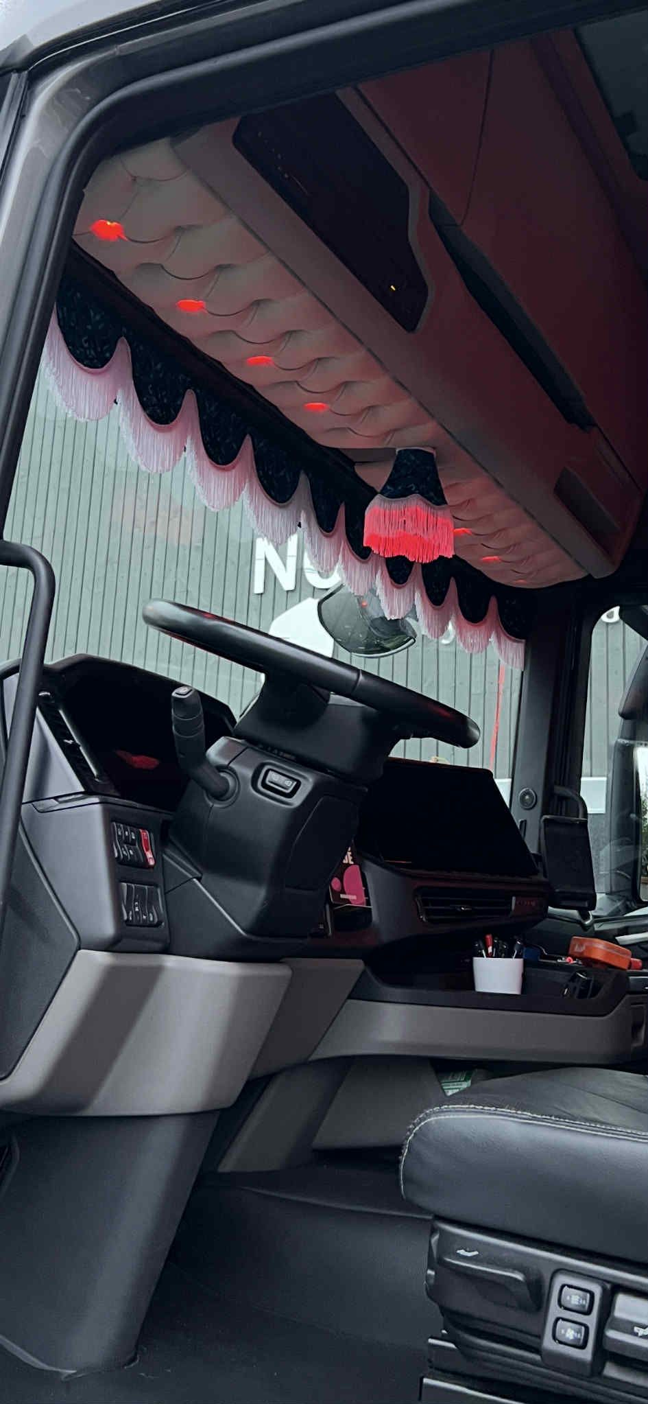 Scania lampetter